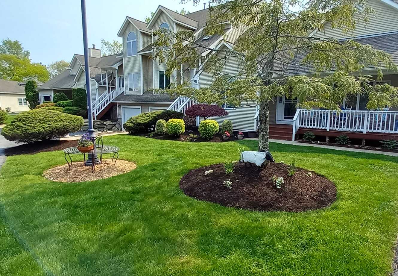 Professional landscaping service in action