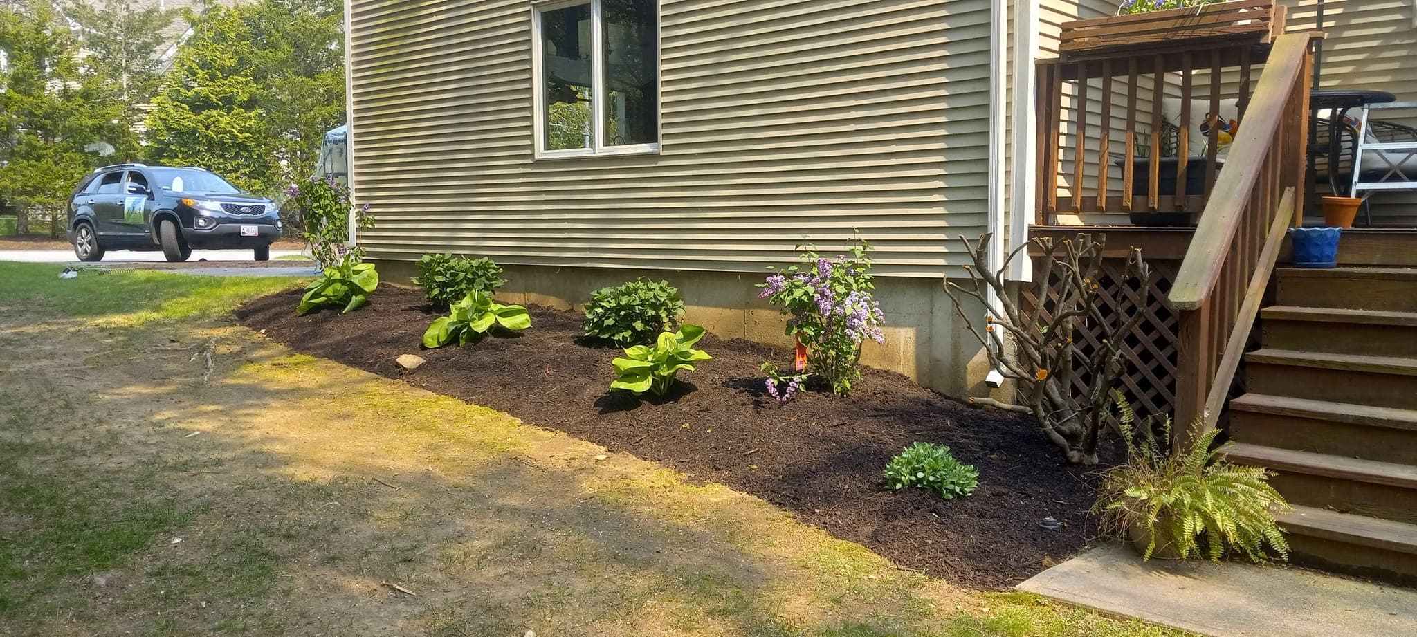 Landscaped yard with green lawn