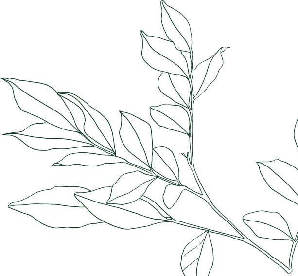 Decorative background shape