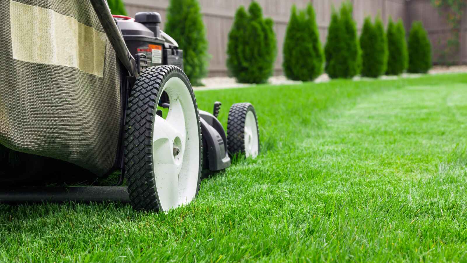 Lawn Care & Maintenance